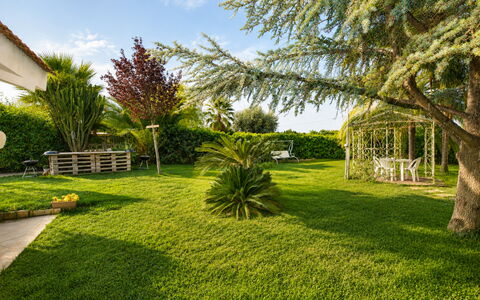 Villa Cigno Reale: Gras, Baum, Grün, Blatt, Vegetation, Garten, Strauch, Landschaft, Rasen