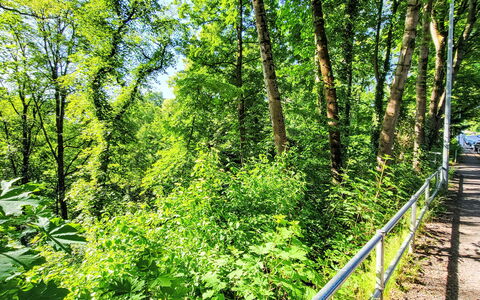 Villa Emma und Lotte: Holz, Möbel, Stuhl, Meer, Wohnung, Balkon, Ozean, Schatten, Gartenmöbel, Holzbeize