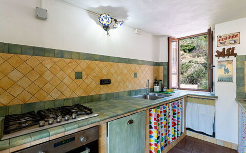 Ca Dell'Andre: Küche, Holz, Countertop, Interior Design, Flooring, Major Appliance, Herd, Küchengerät, Herd, Fussboden