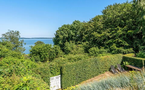 Leea - 100M from the Sea: Blau, Grün, Blatt, Vegetation, Strauch, Pflanzengemeinschaft, Küsten Und Ozeanische Forms, Hecke, Ground, Meer