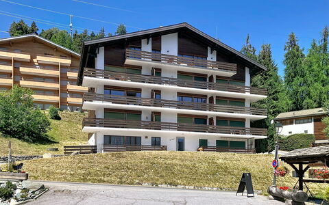 Résidence Croix de Coeur: Zuhause, Wohngebiet, Hütte, Lärche, Balkon, Bergdorf, Pine Familie