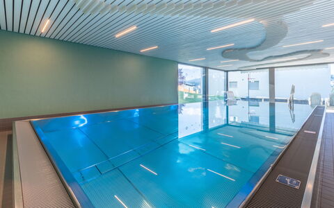 Haus Ner A1: Decke, Flooring, Schwimmbad, Freizeitzentrum, Daylighting, Hotel, Hauptquartier, Aluminium