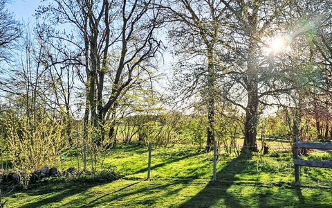 Schlönis Koppelblick: Blau, Ast, Grün, Blatt, Gras, Baum, Natur, Natürlichen Umgebung, Vegetation, Natürliche Landschaft
