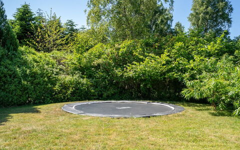 Lagho - 400M from the Sea: Gras, Garten, Rasen, Trampolin, Park, Schatten, Immergrün