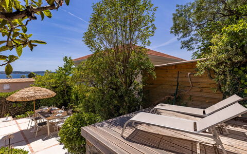 Floralies: Möbel, Gartenmöbel, Stuhl, Schatten, Tisch Im Freien, Zimmerpflanze, Terrasse, Garten, Design, Balkon