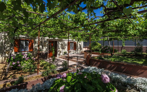 Lado Mediterraneo: Möbel, Gartenmöbel, Stuhl, Schatten, Tisch Im Freien, Zimmerpflanze, Terrasse, Garten, Design, Balkon
