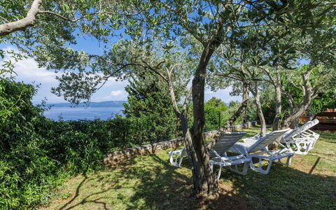 Lado Mediterraneo: Möbel, Gartenmöbel, Stuhl, Schatten, Tisch Im Freien, Zimmerpflanze, Terrasse, Garten, Design, Balkon