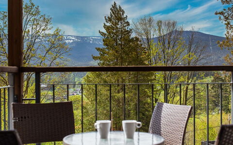 Panorama: Möbel, Gartenmöbel, Stuhl, Schatten, Tisch Im Freien, Zimmerpflanze, Terrasse, Garten, Design, Balkon