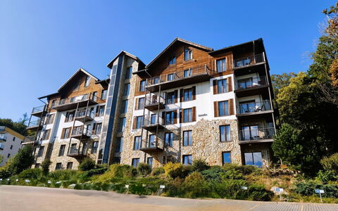 Panorama: Möbel, Gartenmöbel, Stuhl, Schatten, Tisch Im Freien, Zimmerpflanze, Terrasse, Garten, Design, Balkon