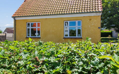 Toivo - 300M from the Sea: Grün, Gelb, Dach, Strauch, Haus, Hütte, Grundstueck, Ländliches Gebiet, Garten, Bauernhaus