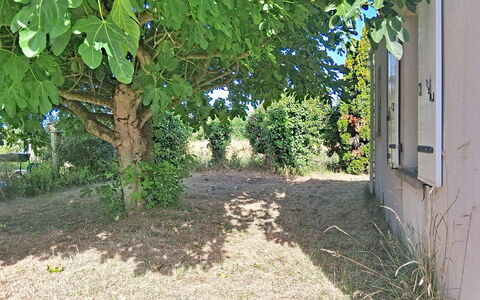 Arceau 3: Möbel, Gartenmöbel, Stuhl, Garten, Holzbeize, Rasen, Hartholz, Schatten, Hinterhof