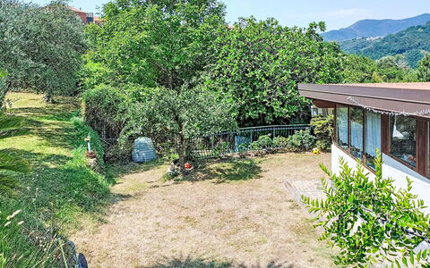 La Casa di Menny: Möbel, Gartenmöbel, Stuhl, Garten, Holzbeize, Rasen, Hartholz, Schatten, Hinterhof