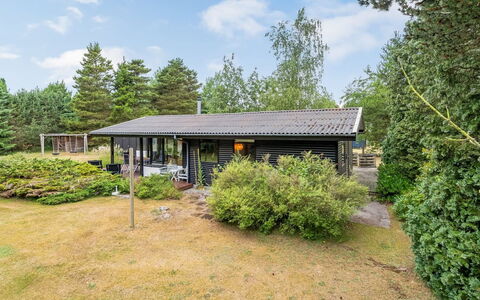 Siggi - 400M from the Sea: Strauch, Haus, Dach, Zuhause, Hütte, Grundstueck, Ground, Garten, Bauernhaus