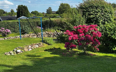 Snioulf - 800M from the Sea: Strauch, Garten, Rasen, Rosa, Ground, Frühling, Gehölz, Landscaping