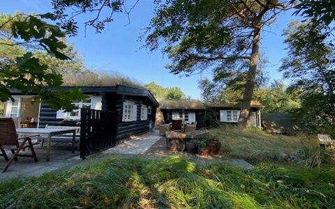 Armund - 50M from the Sea: Hütte, Zuhause, Haus, Dach, Ländliches Gebiet, Dachdecken, Schatten, Gartenbauten, Garten, Blockhaus
