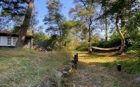 Armund - 50M from the Sea: Baum, Gras, Grundstueck, Ländliches Gebiet, Hütte, Kofferraum, Hinterhof, Boden, Garten