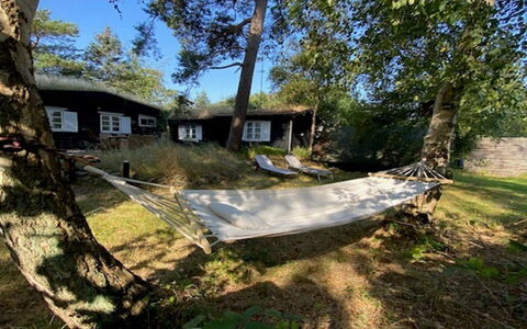 Armund - 50M from the Sea: Erholung, Schatten, Camping, Hinterhof, Freizeit, Garten, Garten, Gartenmöbel, Rasen