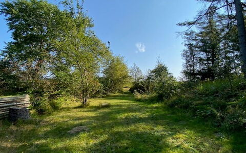 Armund - 50M from the Sea: Himmel, Blau, Gras, Blatt, Natürlichen Umgebung, Grün, Natur, Ast, Vegetation, Natürliche Landschaft