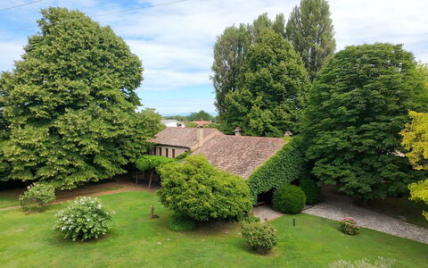 Villa Dorina: Baum, Blatt, Gras, Grün, Strauch, Haus, Landschaft, Rasen, Zuhause