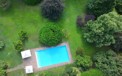 Villa Dorina: Schwimmbad, Strauch, Garten, Rasen, Landscaping, Hinterhof, Garten, Freizeit, Resort, Schatten