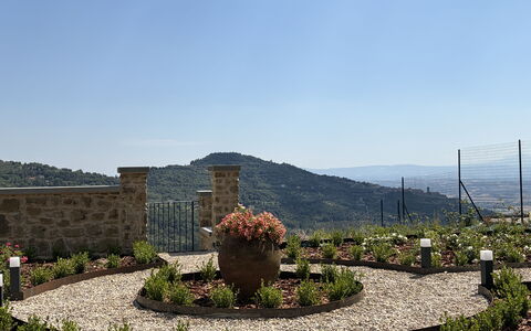 Villa Maddalena alla Guglielmesca