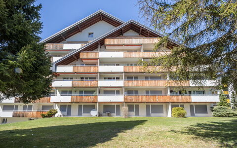Val Signina 2-9: Abstellgleis, Lärche