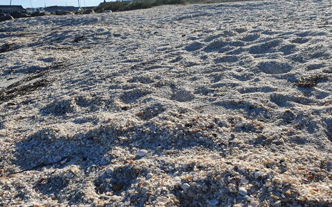 Gundula - 1.3Km from the Sea: Geologie, Boden, Sand, Winter