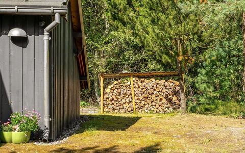 Laris - from the Sea: Holz, Ländliches Gebiet, Garten, Schuppen, Ground, Gartenbauten, Hinterhof, Hütte, Hütte, Blockhaus