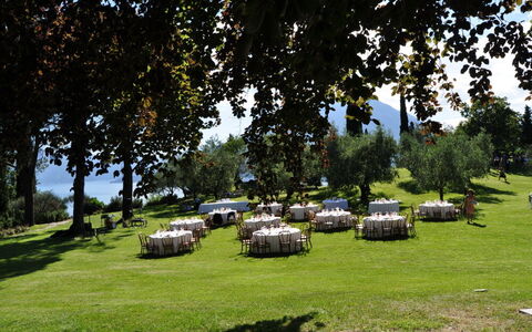 Robilant: Baum, Wiese, Landschaft, Grundstueck, Einfach, Rasen, Garten, Frühling, Wiese