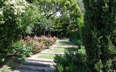 Robilant: Blume, Blatt, Grün, Natur, Garten, Vegetation, Strauch, Pflanzengemeinschaft, Ground