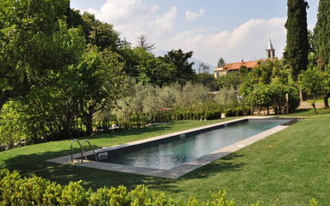 Robilant: Strauch, Garten, Landscaping, Schwimmbad, Rasen, Schatten, Hecke, Estate, Park, Hinterhof