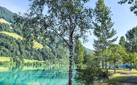 Ferienwohnung Enz: Blau, Wasser, Wasservorräte, Grün, Gewässer, Natur, Natürliche Landschaft, Natürlichen Umgebung, Vegetation, Sommer