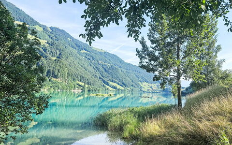 Ferienwohnung Enz: Wasser, Grün, Gewässer, Wasservorräte, Natürliche Landschaft, Sommer, Hügel, Hochland, Wasserlauf, Bank