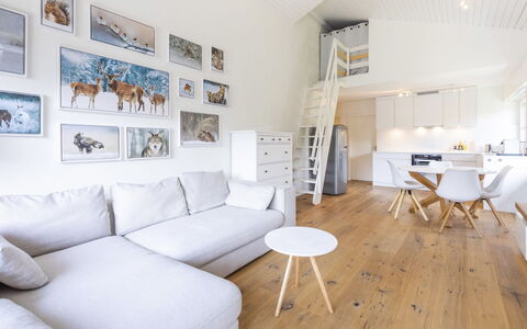 Casa Curnera 8: Interior Design, Möbel, Flooring, Wand, Fussboden, Couch, Holz, Decke, Wohnzimmer, Holzboden