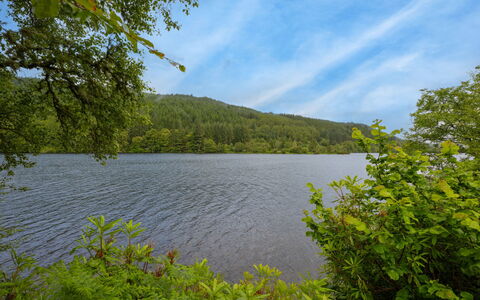 Loch Oich View (Lodge 6): Blau, Wasser, Wasservorräte, Gewässer, Grün, Natur, Natürlichen Umgebung, Natürliche Landschaft, Blatt, Vegetation