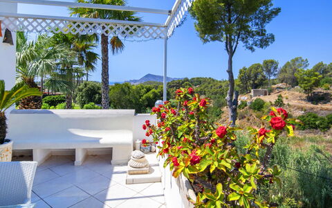 Castillo: Möbel, Blumentopf, Garten, Gartenmöbel, Resort, Schatten, Eco Hotel, Stuhl, Landscaping