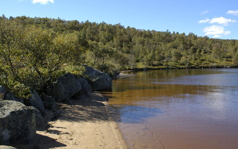 Hellebu: Wasservorräte, Wasser, Gewässer, Natur, Natürlichen Umgebung, Wasserlauf, Natürliche Landschaft, Wasserweg, Vegetation, Bank