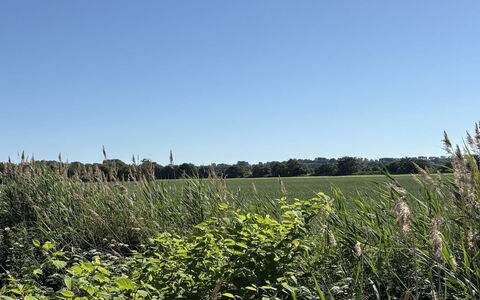 Vilmar - 450M from the Sea: Himmel, Blau, Grün, Gras, Natürlichen Umgebung, Vegetation, Wiese, Sommer, Ökoregion, Pflanzengemeinschaft