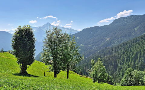 Eben: Bergforms, Berg, Grün, Baum, Natur, Natürlichen Umgebung, Hügel, Natürliche Landschaft, Vegetation, Hochland