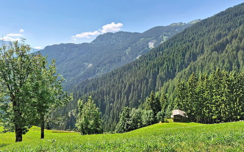 Eben: Bergforms, Grün, Baum, Berg, Natürliche Landschaft, Vegetation, Hügel, Wald, Hochland, Sommer
