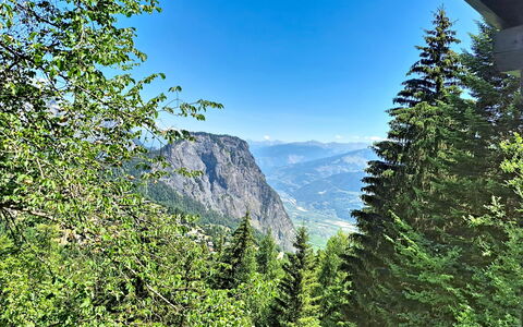 Le Mayen D'Ovronnaz: Bergforms, Berg, Grün, Baum, Blatt, Vegetation, Wald, Hochland, Hügel, Wildnis