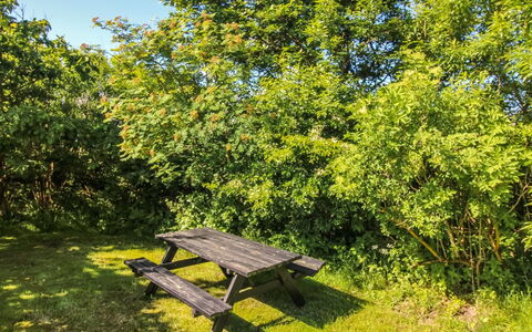 Ruka - 600M from the Sea: Blatt, Grün, Baum, Gras, Ast, Vegetation, Strauch, Sommer, Außenbank, Wiese