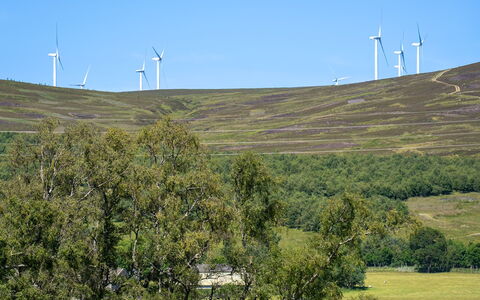 Strathnoon: Natürlichen Umgebung, Wiese, Ökoregion, Landschaft, Feld, Grundstueck