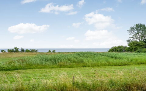 Apsolon - 100M from the Sea: Himmel, Blau, Grün, Gras, Natürlichen Umgebung, Wiese, Vegetation, Natürliche Landschaft, Wolke, Ökoregion