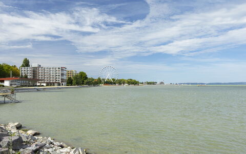 Patti: Flooring, Fussboden, Verbundwerkstoff, Schwimmbad, Daylighting, Water Feature, Fliese