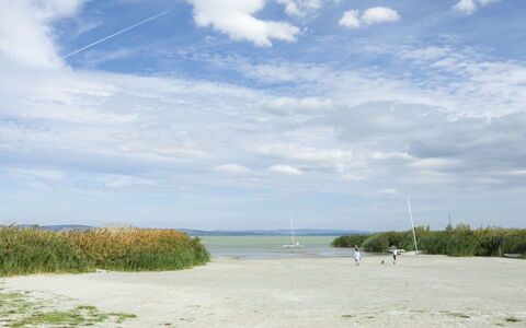Patti: Flooring, Fussboden, Verbundwerkstoff, Schwimmbad, Daylighting, Water Feature, Fliese