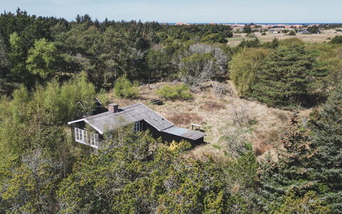 Inan - 800M from the Sea: Vegetation, Strauch, Pflanzengemeinschaft, Zuhause, Hütte, Ländliches Gebiet, Estate, Shrubland, Bauernhaus