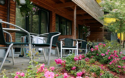Zell am See 79: Blume, Garten, Garten, Schatten, Landscaping, Holzbeize, Zimmerpflanze, Hinterhof, Blumentopf, Floristik