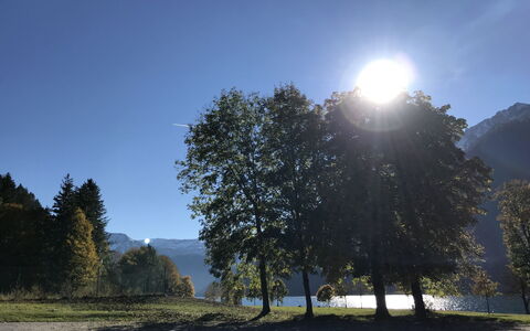 Achenkirch 622: Natur, Blatt, Baum, Ast, Natürliche Landschaft, Hügel, Landschaft, Sonne, Sonnenlicht, Bergstation