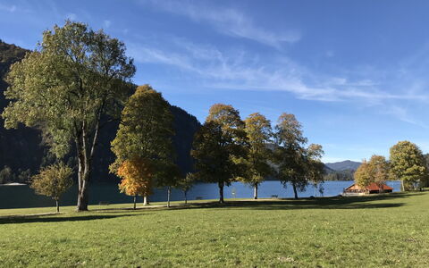Achenkirch 622: Gras, Blatt, Baum, Grün, Natur, Natürlichen Umgebung, Natürliche Landschaft, Wiese, Landschaft, Hügel